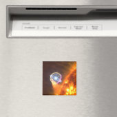 De witte dwergster in V407 Cygni Magneet (Insitu (Vaatwasser))