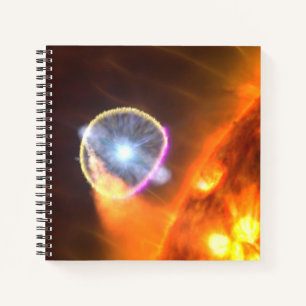 De witte dwergster in V407 Cygni Notitieboek