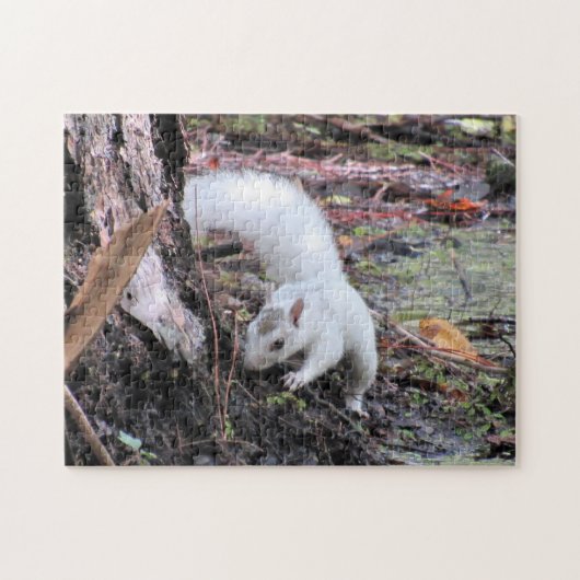 De witte eekhoorn (Leucistic) Jigzaag Puzzle Legpuzzel (Horizontaal)