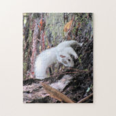 De witte eekhoorn (Leucistic) Jigzaag Puzzle Legpuzzel (Verticaal)