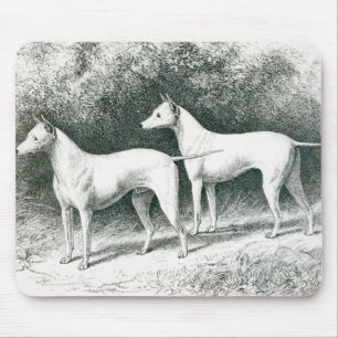 De Witte Engelse Terriers van de heer Vero Shaw Muismat