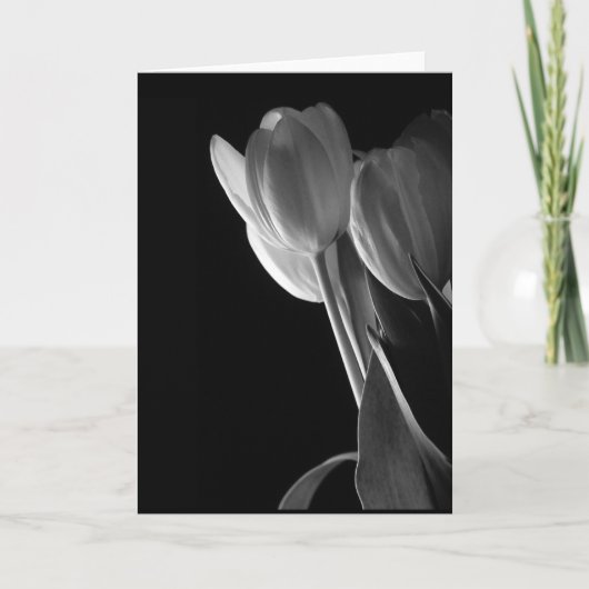 De witte Foto van Tulpen op Zwarte Achtergrond Kaart (Voorkant)