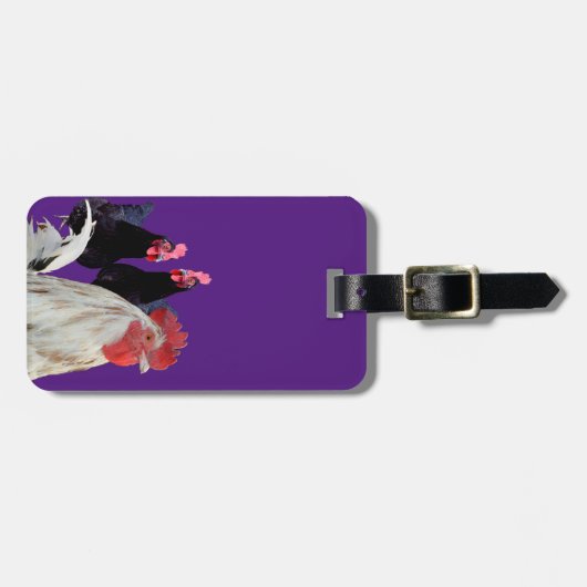 De witte haan en zijn zwarte kippen bagagelabel (Voorkant horizontaal)