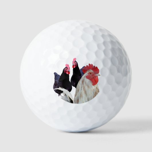 De witte haan en zijn zwarte kippen golfballen (Voorkant)