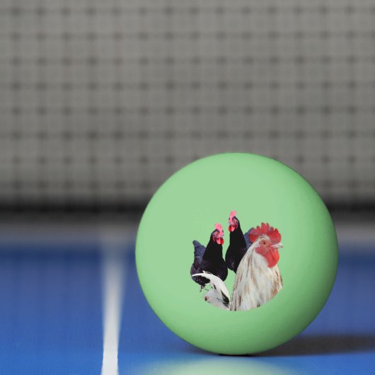 De witte haan en zijn zwarte kippen pingpongbal (Net)