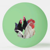 De witte haan en zijn zwarte kippen pingpongbal (Achterkant)