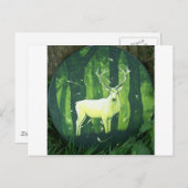 De witte hart briefkaart (Voorkant / Achterkant)