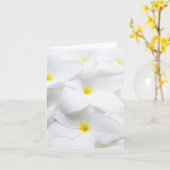 De witte Hawaiiaanse Tropische Bloem van Plumeria Kaart (Gele Bloem)