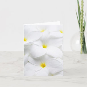 De witte Hawaiiaanse Tropische Bloem van Plumeria Kaart