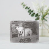De witte Hond van de Bokser achter Zwart-witte Briefkaart (Staand voorkant)