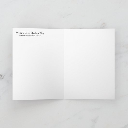 De witte Hond van de Duitse herder Kaart (Binnen)