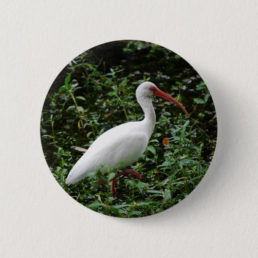De witte Ibis... Ronde Button 5,7 Cm (Voorkant)