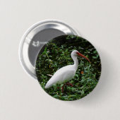 De witte Ibis... Ronde Button 5,7 Cm (Voorkant /achterkant)