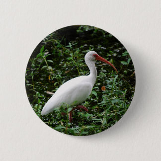 De witte Ibis... Ronde Button 5,7 Cm