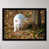 De witte jager poster (Voorkant)