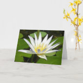 De witte Kaart van de Bloem van Lotus (Gele Bloem)