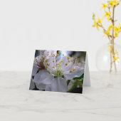 De witte Kaart van de Nota van de Bloesems van de (Gele Bloem)