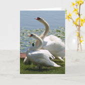 De witte Kaart van de Nota van Zwanen (Gele Bloem)