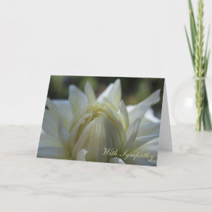 De witte Kaart van de Sympathie van de Dahlia