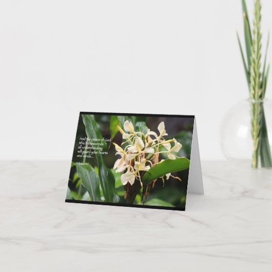 De witte kaart van gemberscripture (Voorkant)