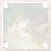 De witte kat en de Camellia Glazen Onderzetter (Achterkant)