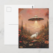 De witte kat en een ufo briefkaart (Voorkant / Achterkant)