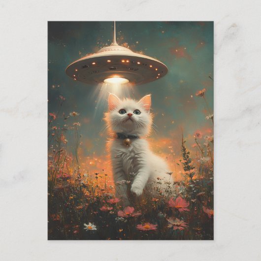 De witte kitten en een ufo briefkaart (Voorkant)