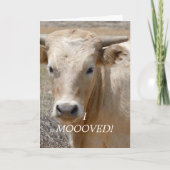 De Witte Koe van Charolais - Westerne Aankondiging (Voorkant)