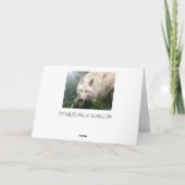 De witte Lege Wenskaarten van de Wolf Kaart (Achterkant)