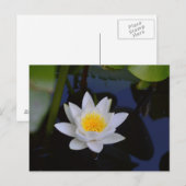 De witte Lotus Card Briefkaart (Voorkant / Achterkant)