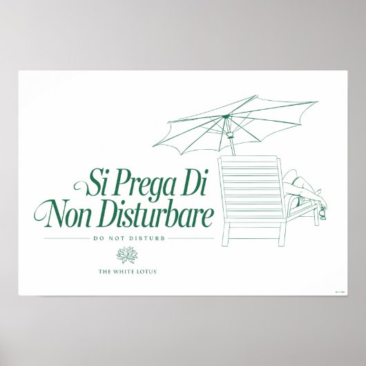 De witte lotus stoort niet poster (Voorkant)