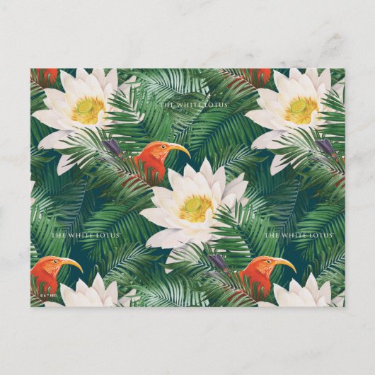 De witte Lotus Tropische Vogels & Lotus Patroon Briefkaart (Voorkant)