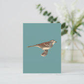 De witte mest (Fringilla leucophrys) Briefkaart (Staand voorkant)