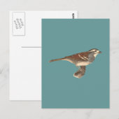 De witte mest (Fringilla leucophrys) Briefkaart (Voorkant / Achterkant)
