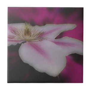 De witte Natuur van de Bloem van Clematissen Tegeltje