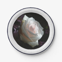 De Witte Roos -