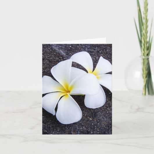 De witte Rots van de Lava van Frangipani van de Kaart (Voorkant)