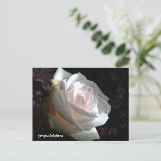 De witte roze - Gefeliciteerd Briefkaart (Staand voorkant)