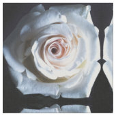 De witte rozenstof stof (Close Up)