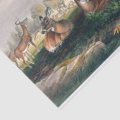 De witte staart van Joseph Wolf Tissuepapier (Detail)