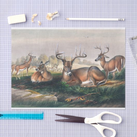 De witte staart van Joseph Wolf Tissuepapier (Craft)