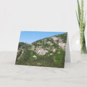 De witte Verjaardag van de Trein van de Broer van Kaart (Achterkant)