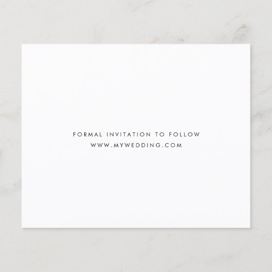 De Witte Verpletterde van de begroting sparen de D Flyer (Achterkant)