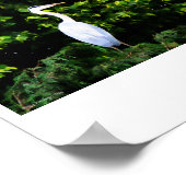 De witte vogelprint poster (Hoek)