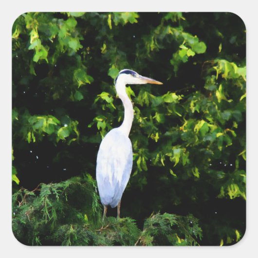 De witte vogelsticker vierkante sticker (Voorkant)