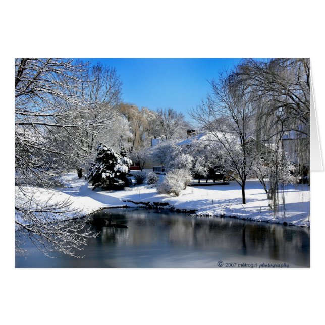 De witte wereld spreekt zonder geluid. (Voorkant Horizontaal)