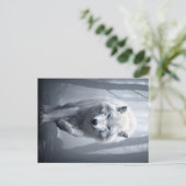De witte wolf in het mistige bos briefkaart (Staand voorkant)
