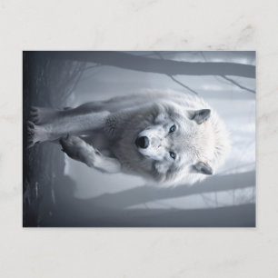 De witte wolf in het mistige bos briefkaart