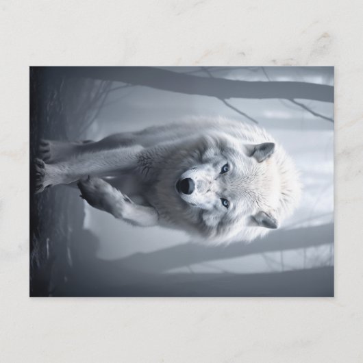 De witte wolf in het mistige bos briefkaart (Voorkant)