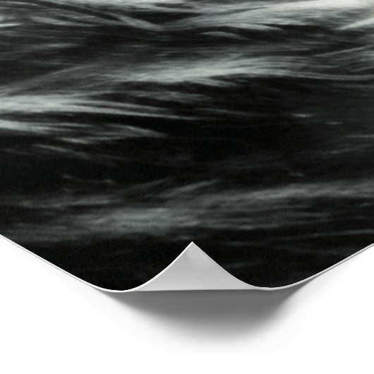 De witte wolf poster (Hoek)